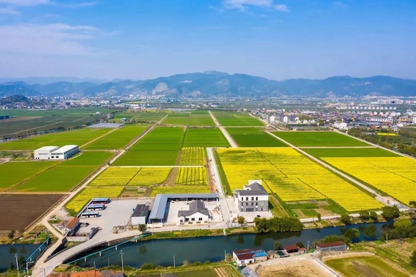 高標(biāo)準(zhǔn)農(nóng)田典型案例集錦丨“豐景”，在希望的田野