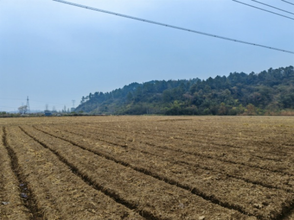 安徽涇縣: 推進(jìn)高標(biāo)準(zhǔn)農(nóng)田建設(shè) 為推動實現(xiàn)鄉(xiāng)村振興注入生機(jī)與活力