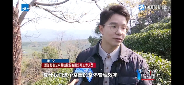 春茶開采正當(dāng)時(shí)！揭秘托普云農(nóng)如何用科技“制”出一杯數(shù)字好茶